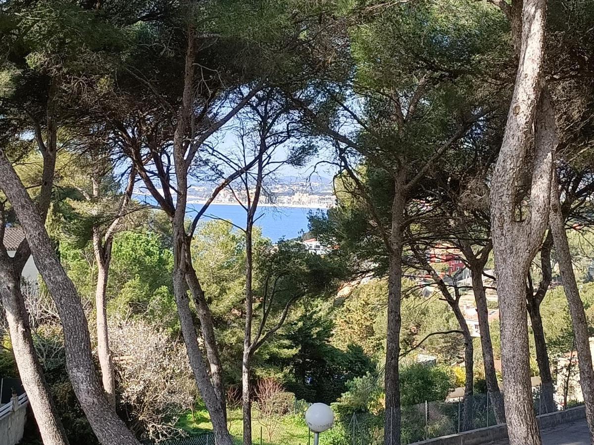 T2 Sur Sanary-sur-Mer